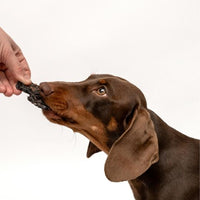 Kangaroo Crisps for Dogs | All Natural Kangaroo Lung Pet Treats