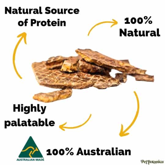 Lamb Puffs - All Natural Air Dried Australian Lamb Dog Treats