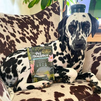 Little Australian Fish Pet Treats - For Cats & Dogs
